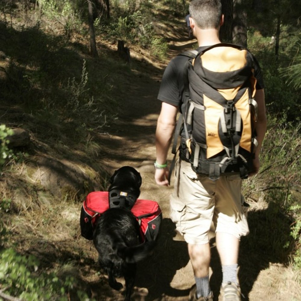 Best Dog Places Yelp