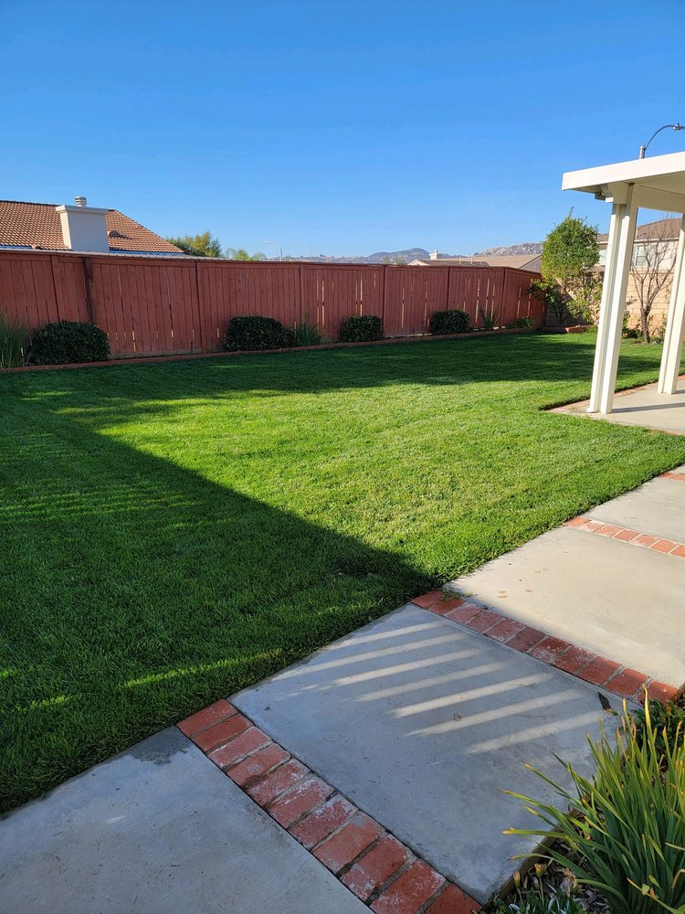 Truly Green Lawn Care Services