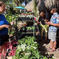 Nurseries Gardening In Pearland Yelp Tom S Thumb Nursery Landscaping