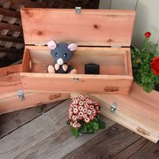 Sonoma Valley Pest Control 21 Reviews Petaluma Nature Science Pest Control Rat Exclusion Service