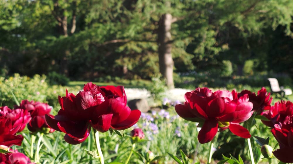 Jardin Botanique de Montréal