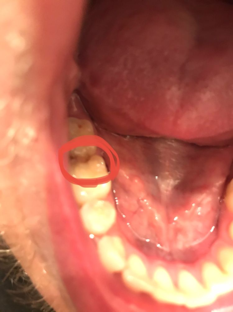 image of business West Asheville Family Dentistry