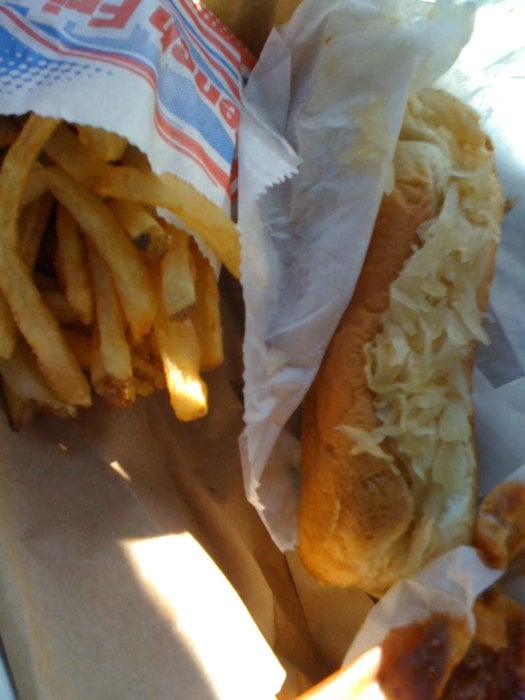 Hot Dogs Dog Walking Brighton Hot Dogs Dog Walking Brighton