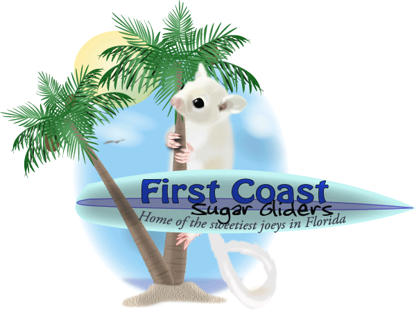 First Coast Sugar Gliders - Pet Training - 9172 Shindler Crossing Dr