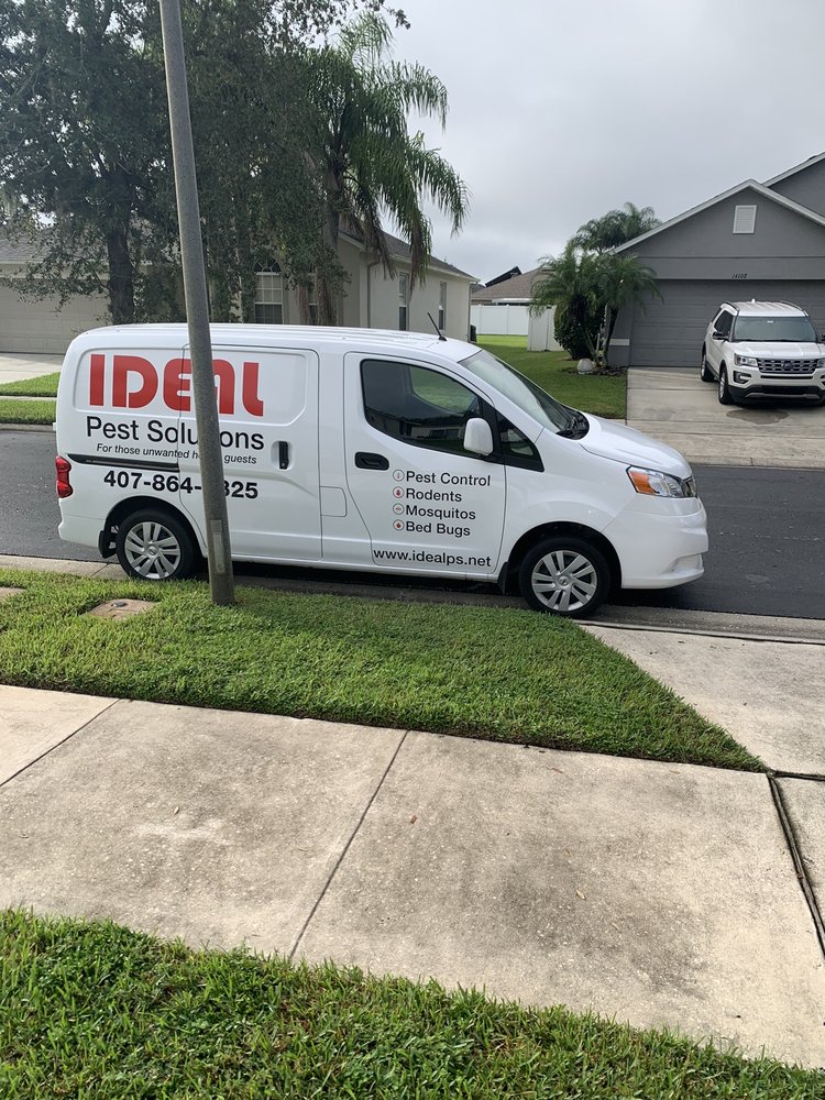 Ideal Pest Solutions