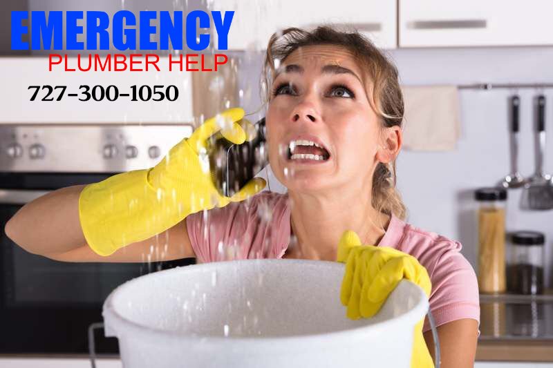 Emergency Plumber Help