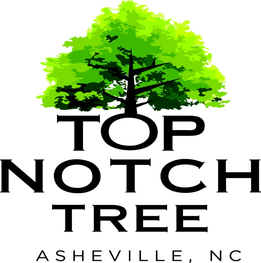 Top Notch Tree Care