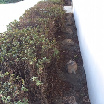 Sun Ray Landscape Supply Nurseries Gardening 5044 Pea Rd Photo Of Sun Ray Landscape Supply Fairfield Ca United States Boulders
