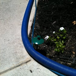 Peace Frog Carpet Tile Cleaning 32 Photos 381 Reviews Photo Of Peace Frog Carpet Tile Cleaning Austin Tx United States