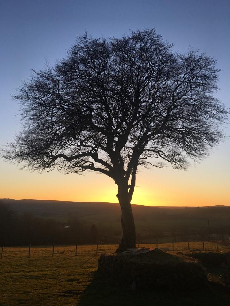 Yugen Bodywork & Massage