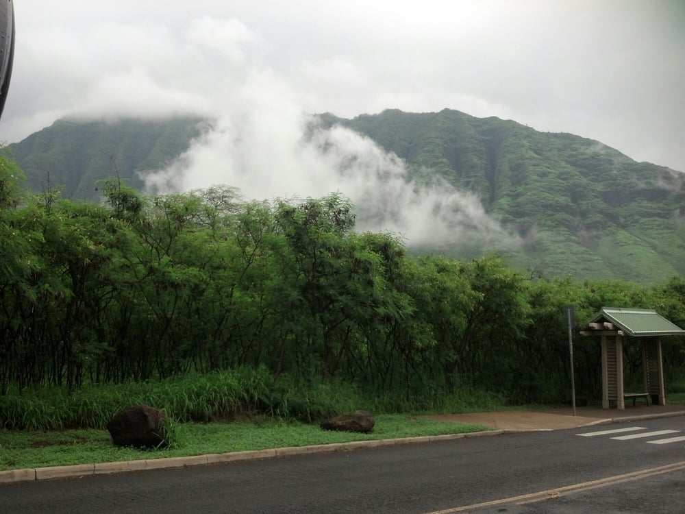 Makaha Valley Plantation 42 Photos Real Estate 84786 Ala Mahiku