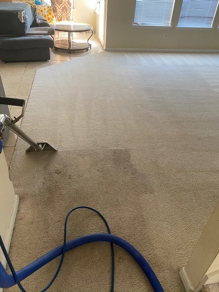Black Tie Carpet Care