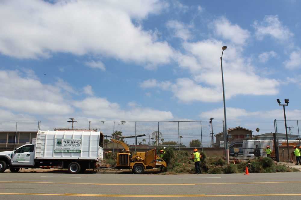 Gutierrez & Son's Tree Service & Landscaping