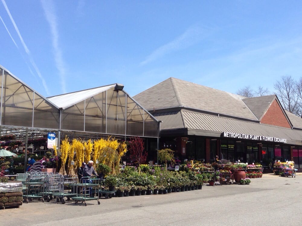 Spring in the garden center Yelp