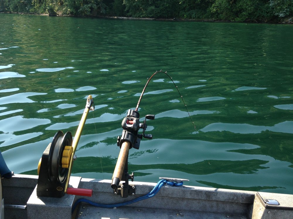 Rooster Brew Espresso