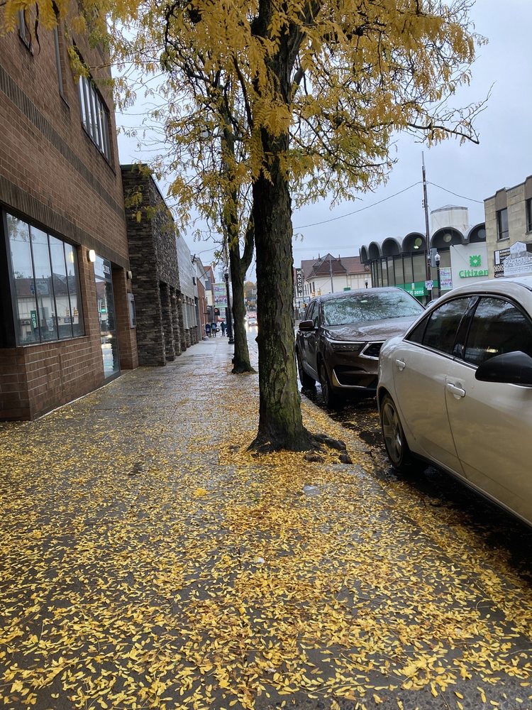 Squirrel Hill