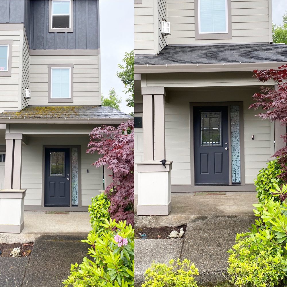 Mighty Movers & More