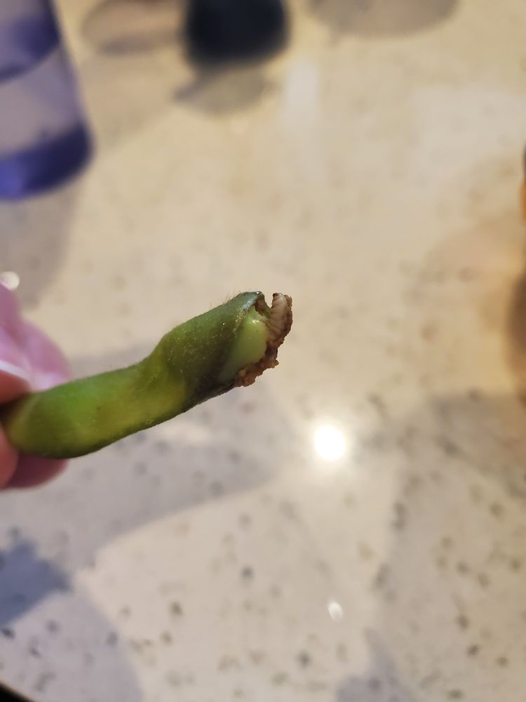 Akita Sushi