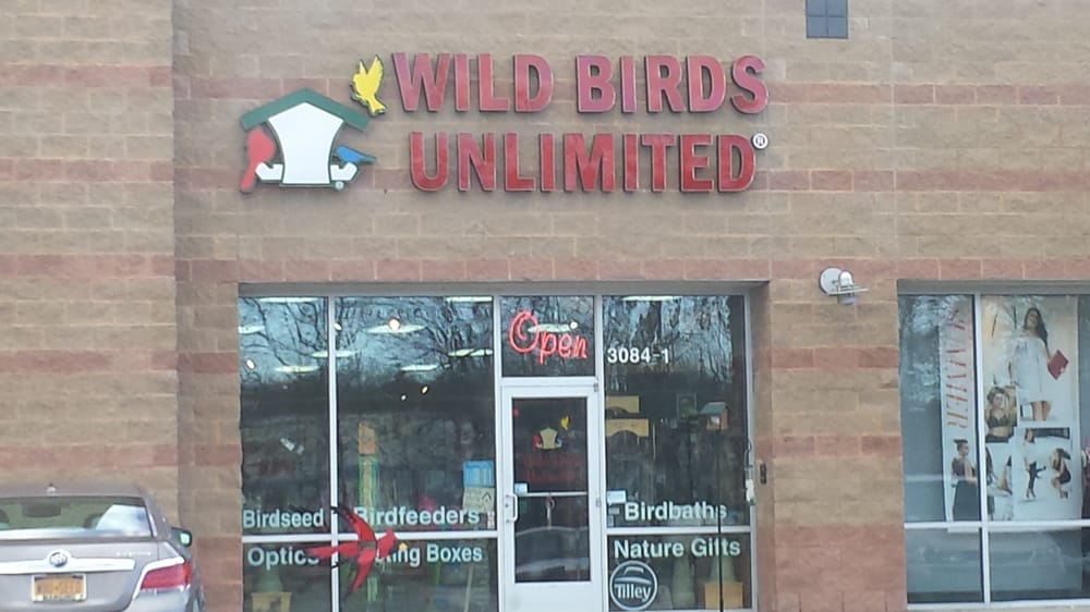 wild birds unlimited vogelshop 3084 rte 50 saratoga wild birds unlimited vogelshop 3084 rte 50 saratoga