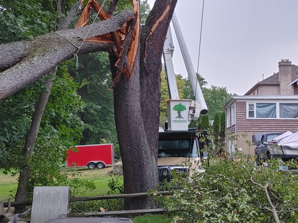 Perkins Tree Service