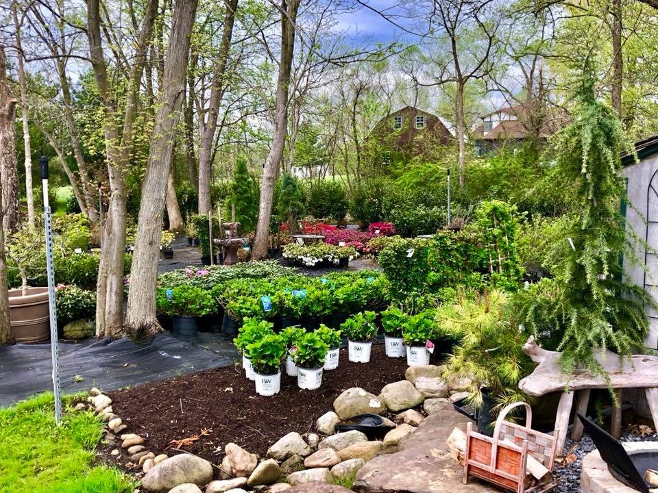Black Landscape Contracting