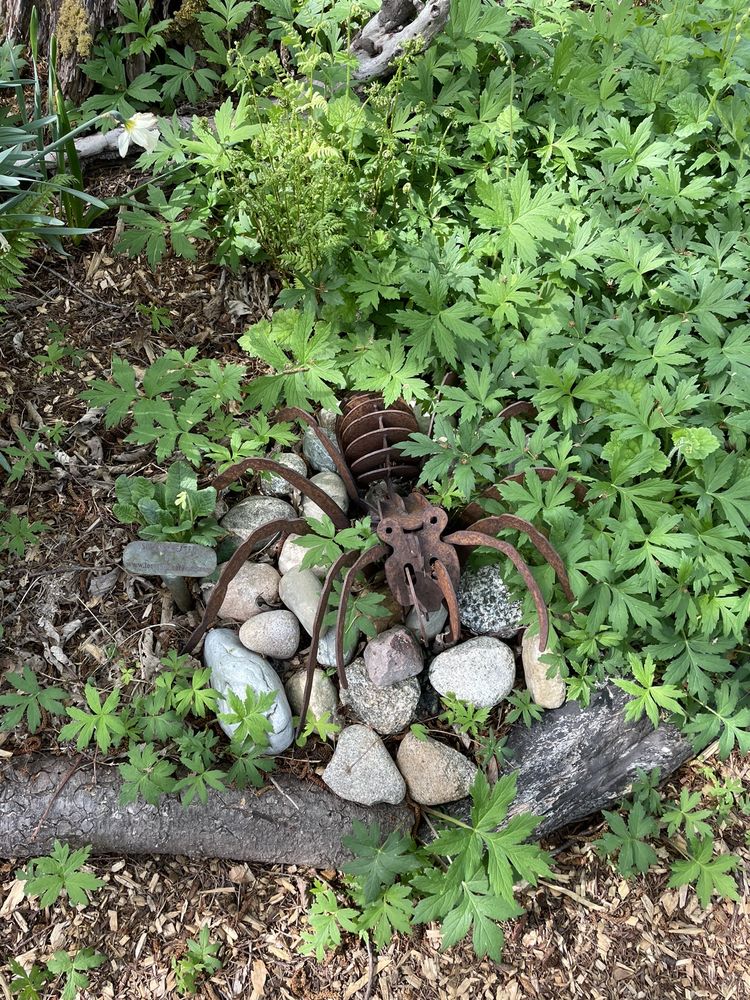 Soos Creek Botanical Garden And Heritage Center