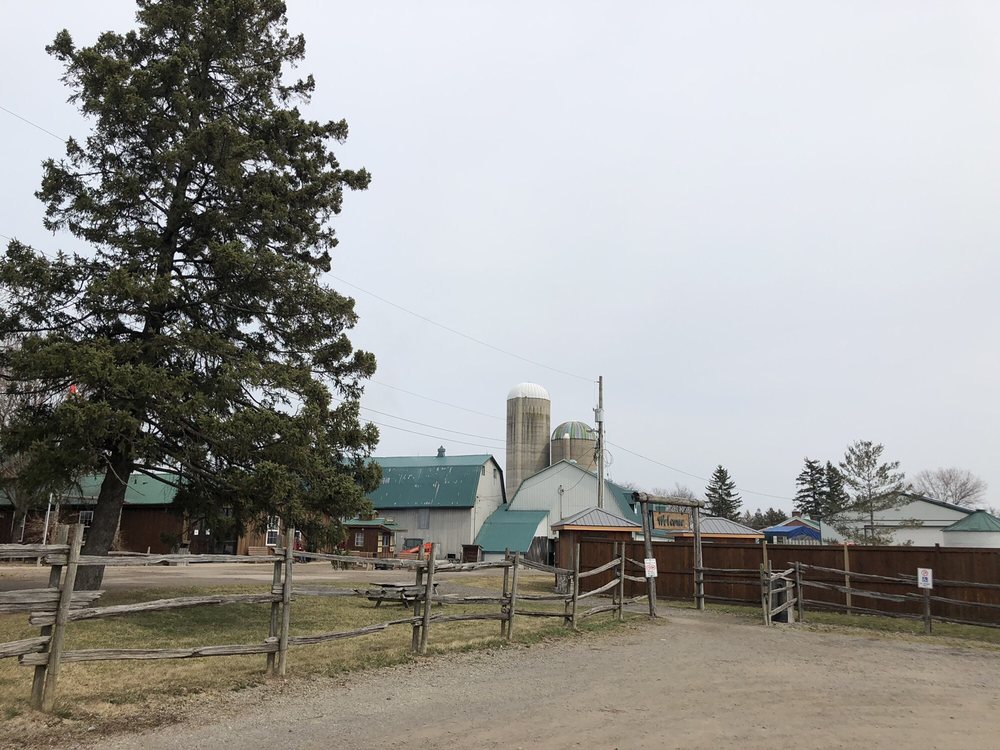 White Meadows Farms