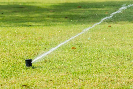 Emerald Green Irrigation