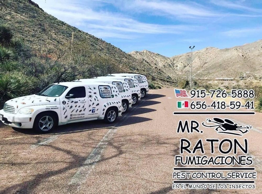 Mr.Raton Pest Control