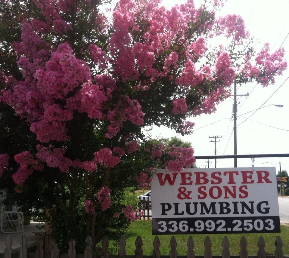 Webster & Sons Plumbing