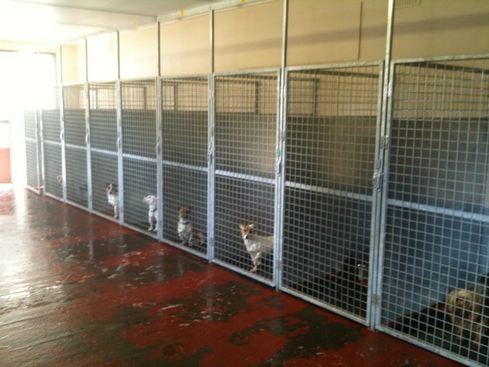 Ashton Pound Animal Shelters River Road, Dublin, Republic of Ireland Phone Number Yelp