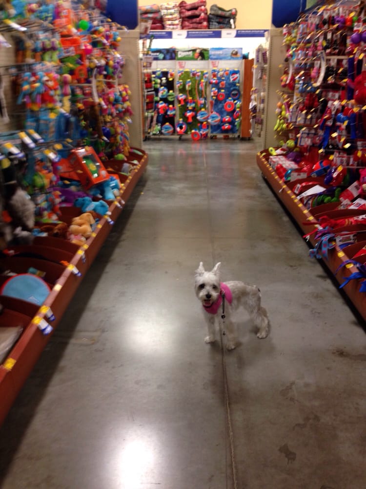 PetSmart 21 Photos & 49 Reviews Pet Training 6204 W Park Blvd