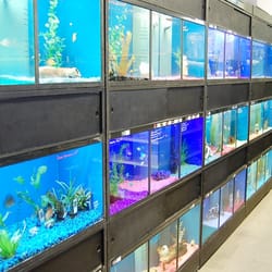 blue reef aquatics 12