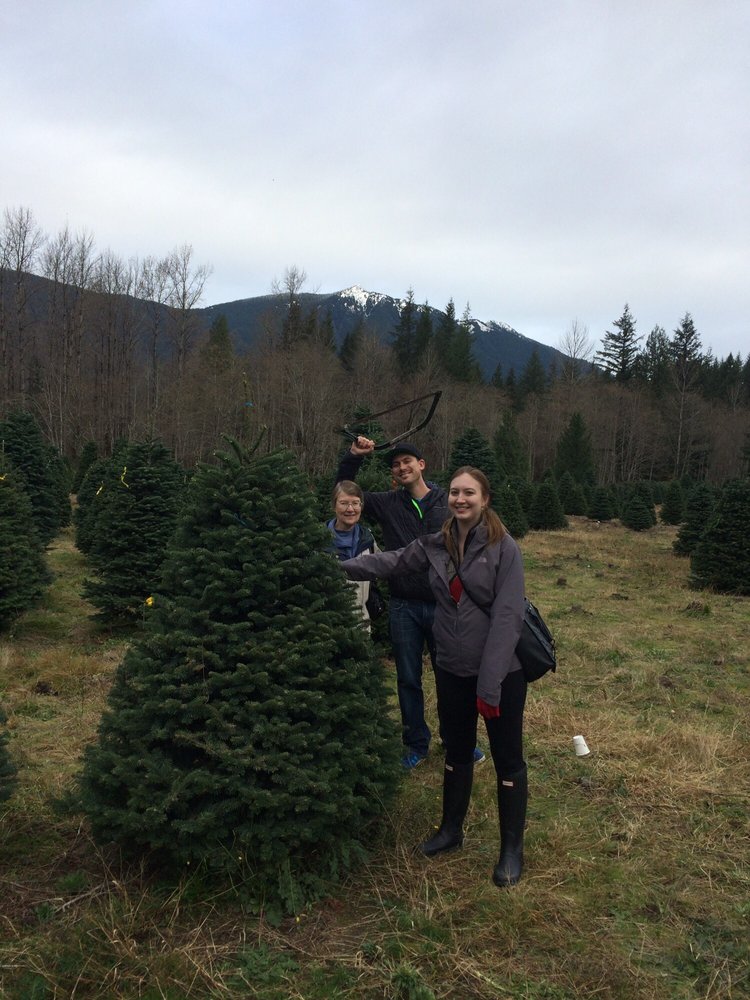 christmas creek tree farm temp closed christmas trees christmas creek tree farm temp closed christmas trees