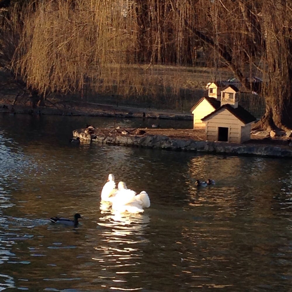 Gypsy Hill Park Parks 600 Churchville Ave, Staunton, VA Yelp