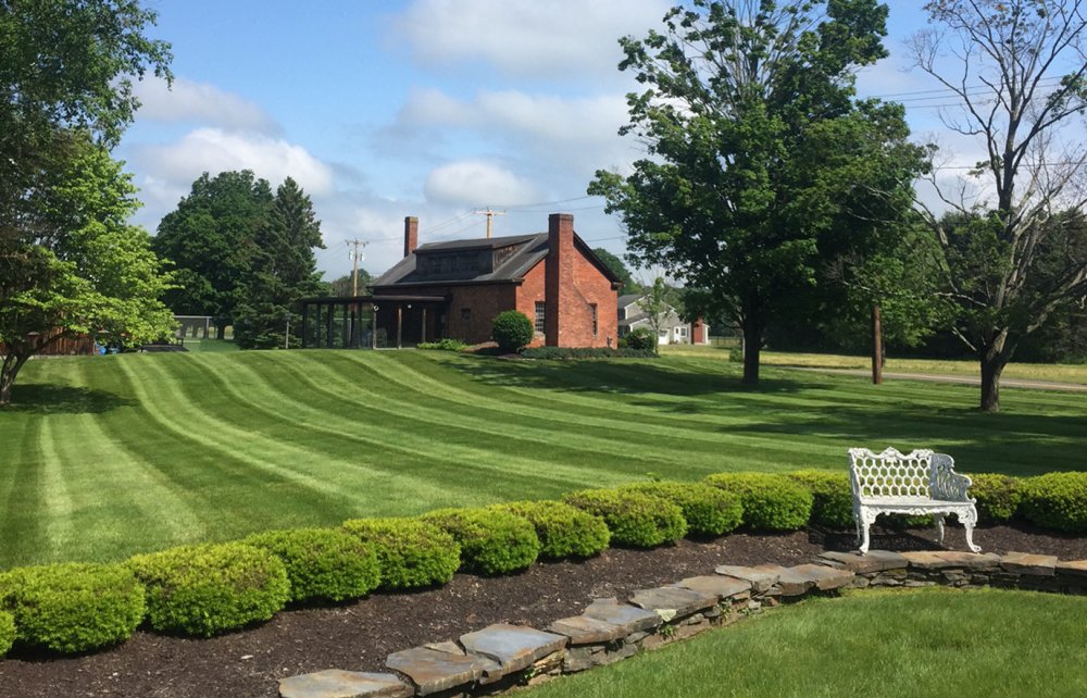 Buzz Cut lawn And landscaping