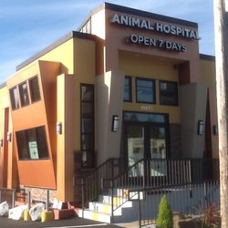 Seattle Natural Veterinary Center Seattle Natural Veterinary Center