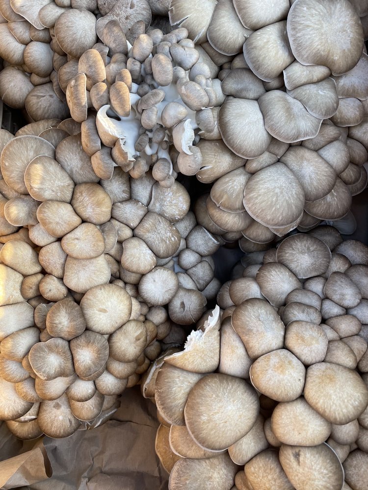 Davidson Farmers' Market