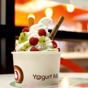 Froyo frozen yogurt manteca