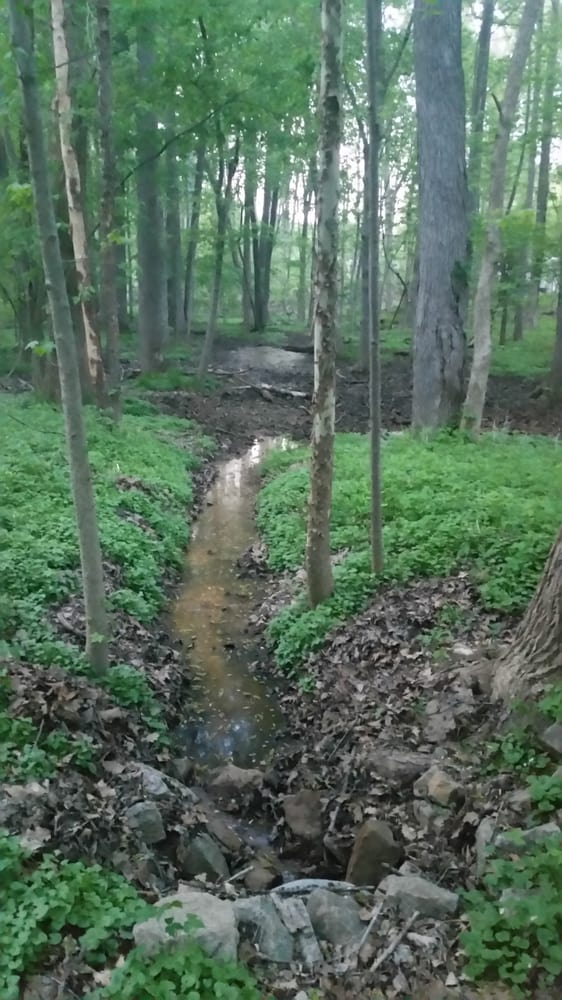 Sally Ormsby Park