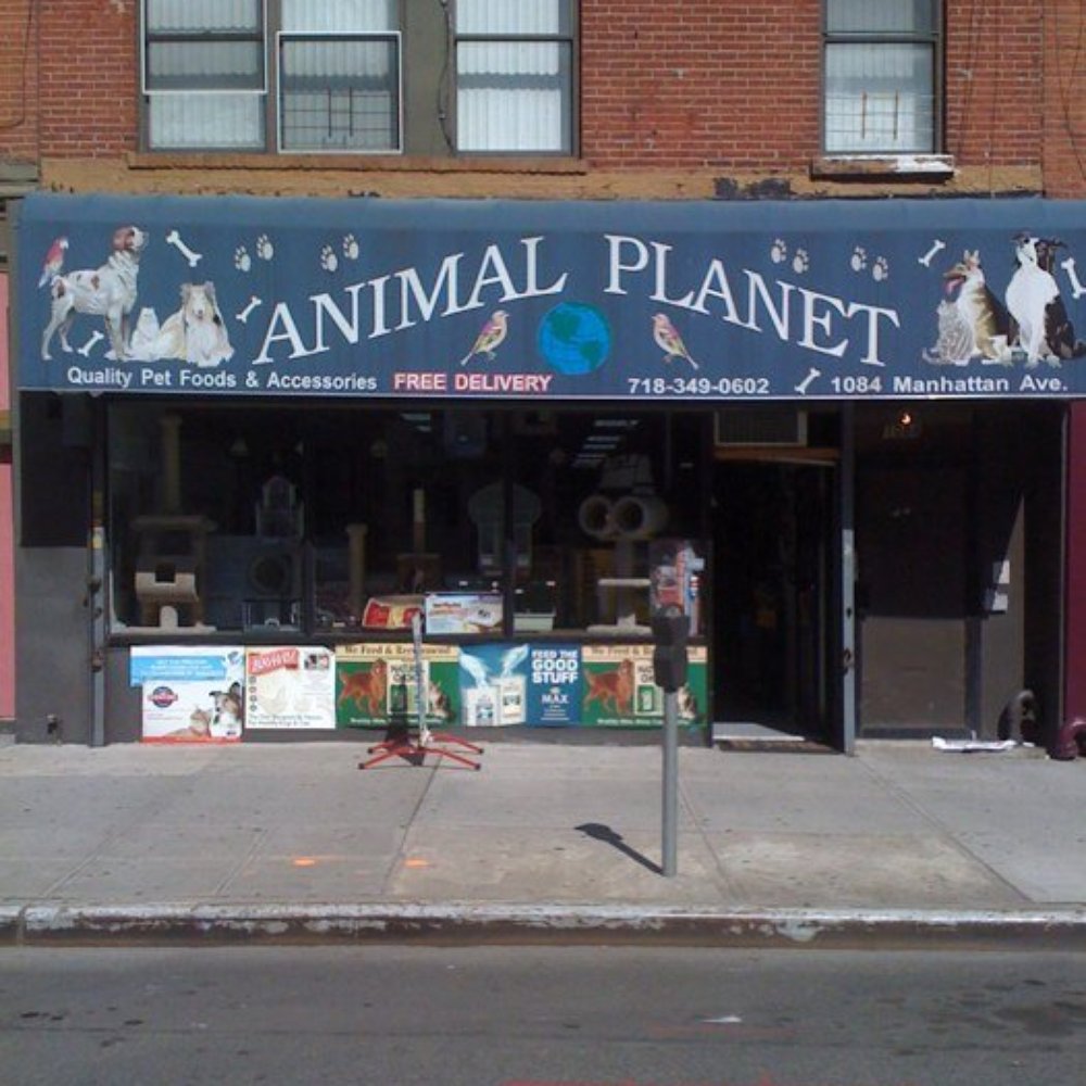 Living in Greenpoint Brooklyn, NY Yelp