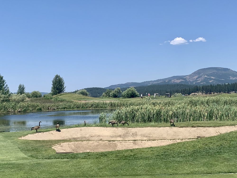 Whitehawk Ranch Logo Whitehawk Ranch Golf Club, Clio | Roadtrippers