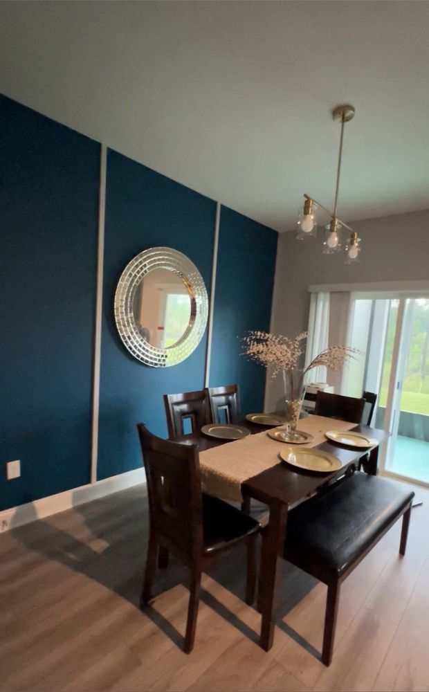 Pro-Vision Painting