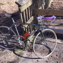 Trek Bicycle Raleigh - Holly Park - Bikes - 3020 Wake Forest Rd, Raleigh, NC - Phone Number - Yelp