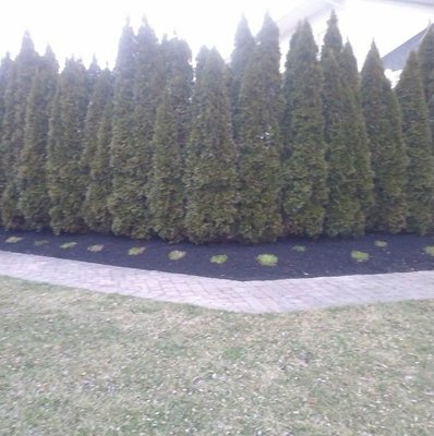 Right Touch Landscaping Williamstown Nj Phone Photo Of Right Touch Landscaping Williamstown Nj United States