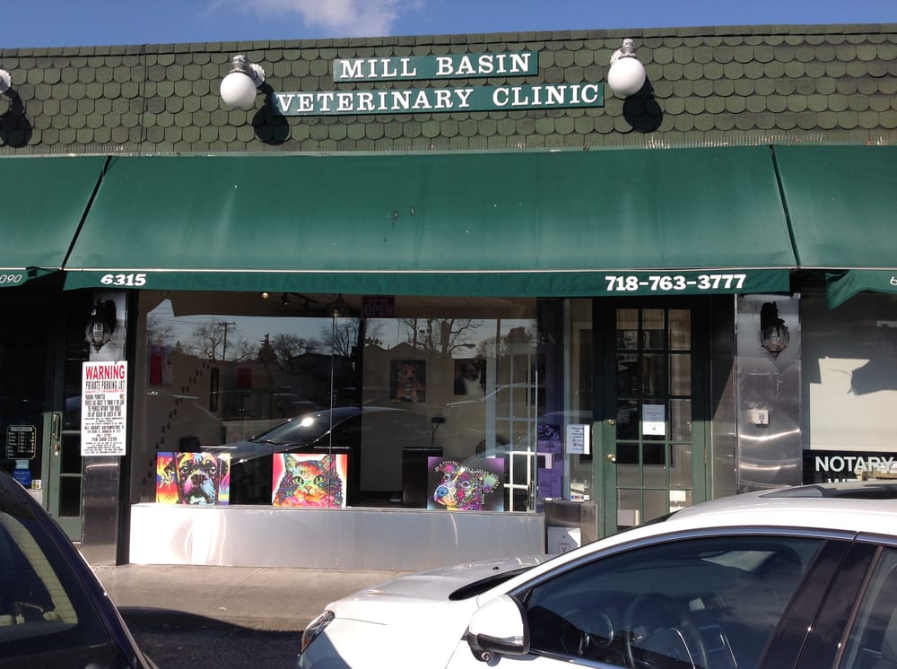Mill Basin Veterinary Clinic Veterinarians 6315 Ave N, Mill Basin