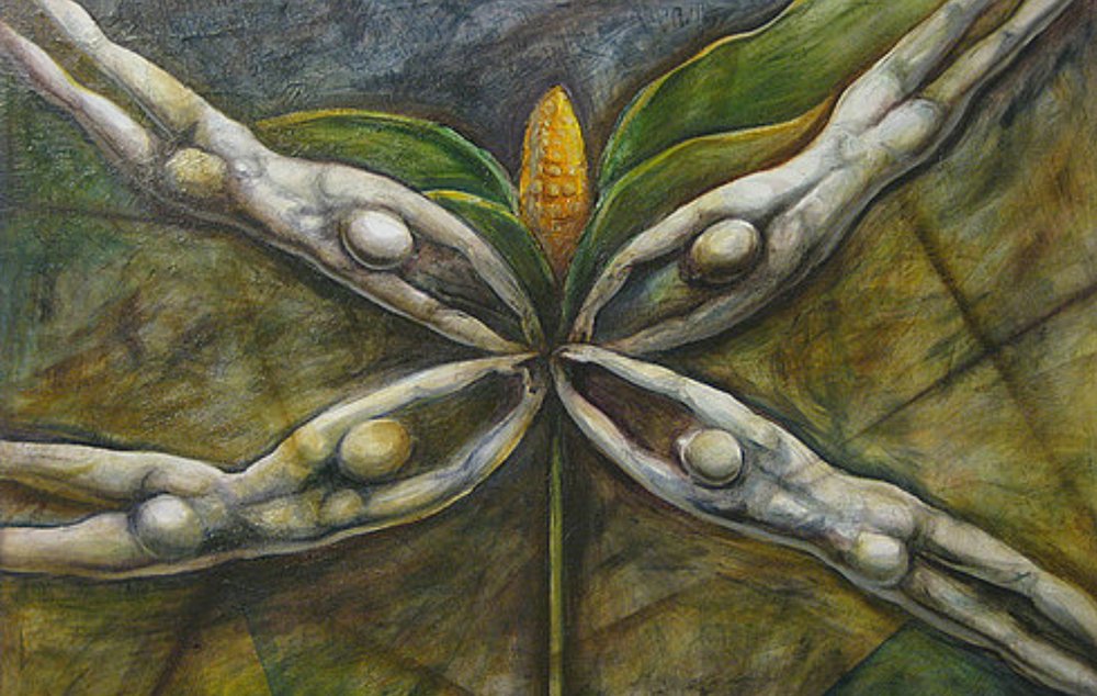 image of business Palomaki A K DDS PC