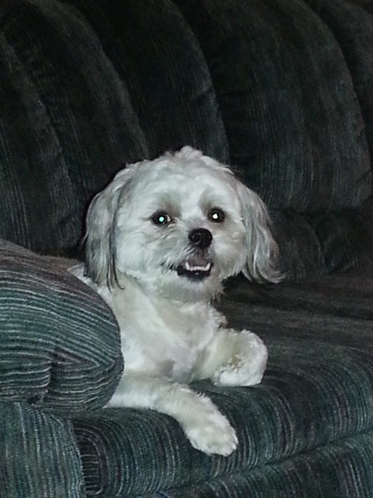 Samuel Technology Group