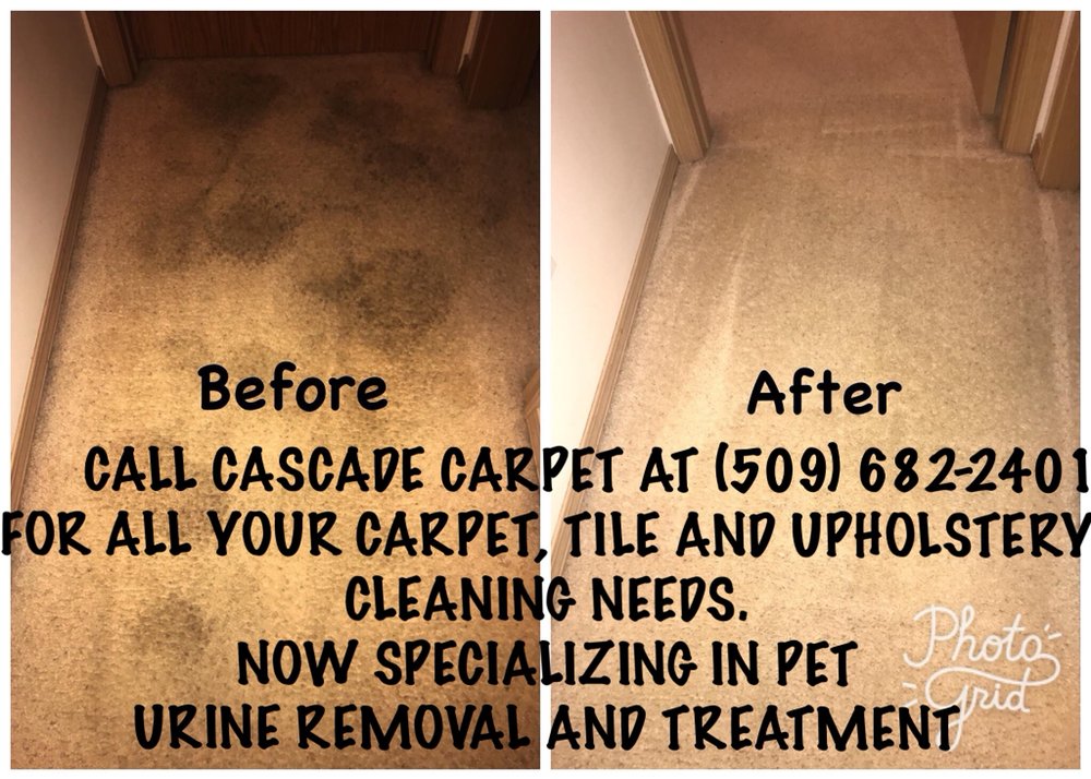 Cascade Carpet Cleaning