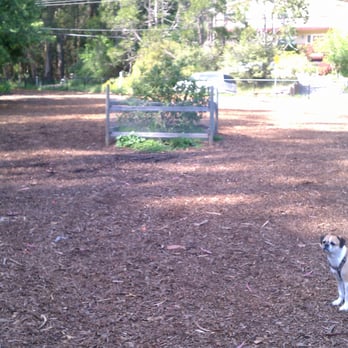 Dog Parks In Santa Cruz Ca Dog Parks In Santa Cruz Ca